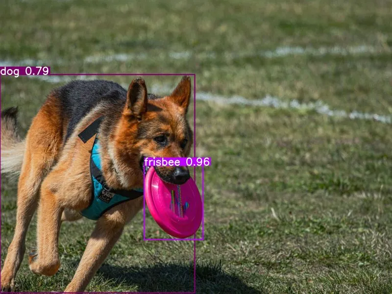 Object Detection Example